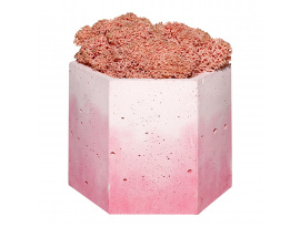 Кашпо розовое из бетона со мхом